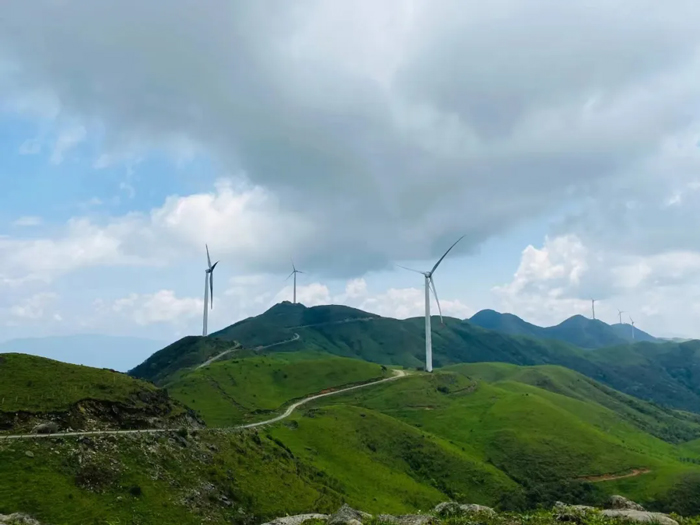 1730080886130721.jpg 6a.jpg