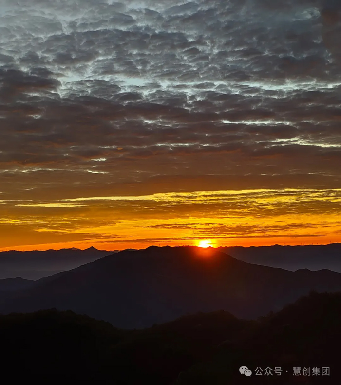 1730081013248984.jpg 14a.jpg